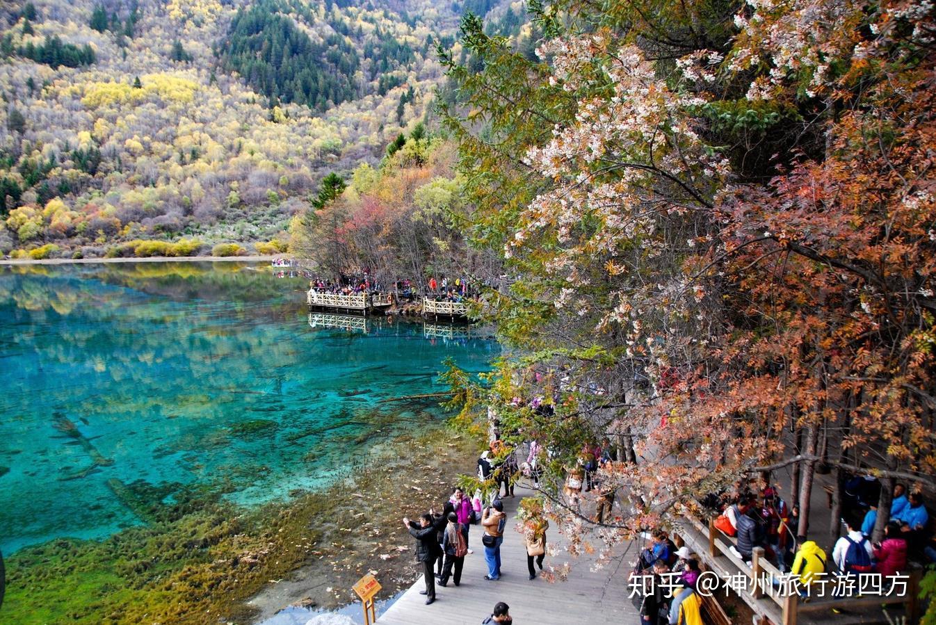 九寨溝深度探索之旅，最新旅游報(bào)價與大自然奧秘探索